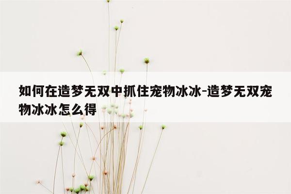 如何在造梦无双中抓住宠物冰冰-造梦无双宠物冰冰怎么得