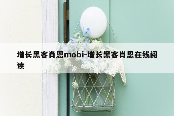 增长黑客肖恩mobi-增长黑客肖恩在线阅读