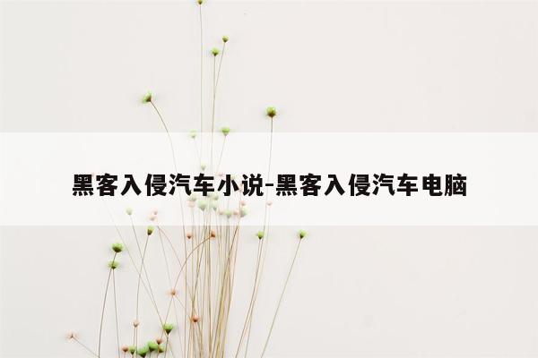 黑客入侵汽车小说-黑客入侵汽车电脑