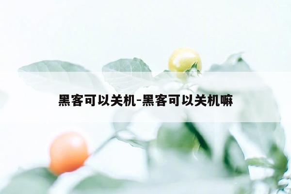 黑客可以关机-黑客可以关机嘛