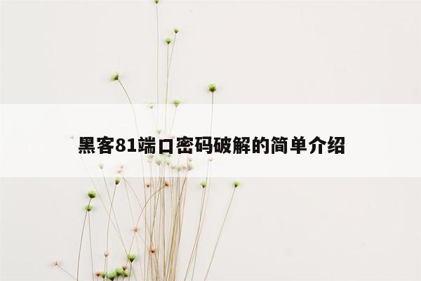 黑客81端口密码破解的简单介绍