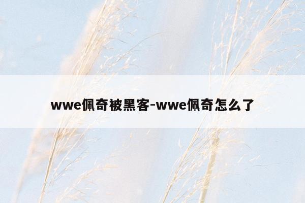 wwe佩奇被黑客-wwe佩奇怎么了