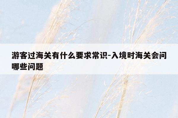 游客过海关有什么要求常识-入境时海关会问哪些问题