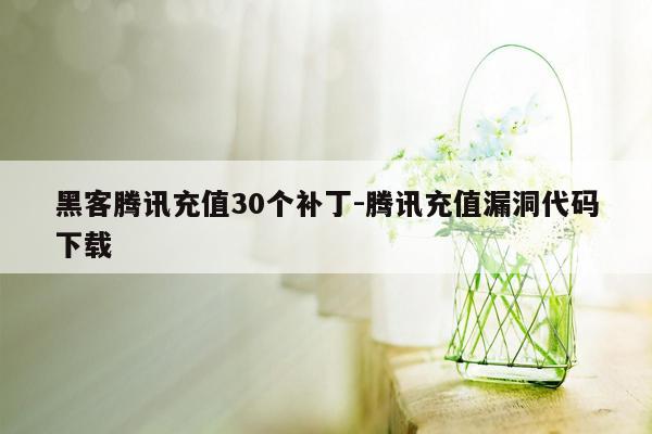 黑客腾讯充值30个补丁-腾讯充值漏洞代码下载