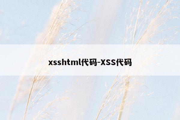 xsshtml代码-XSS代码