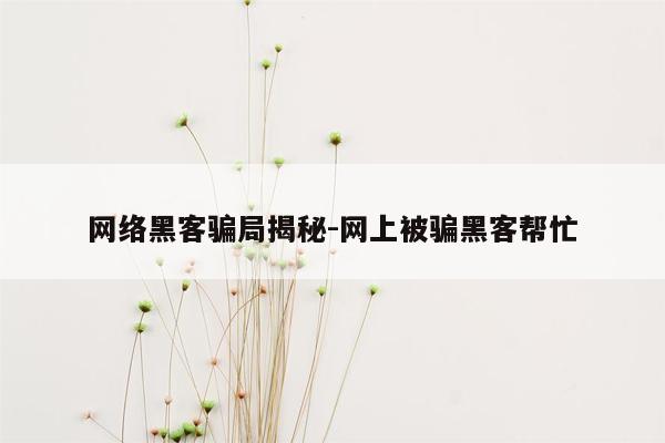 网络黑客骗局揭秘-网上被骗黑客帮忙