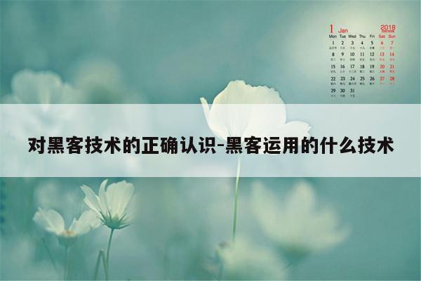 对黑客技术的正确认识-黑客运用的什么技术