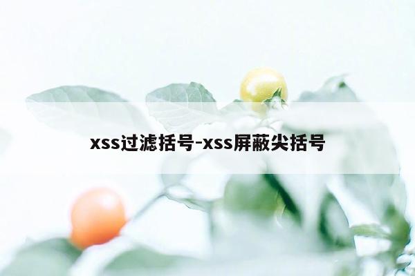 xss过滤括号-xss屏蔽尖括号