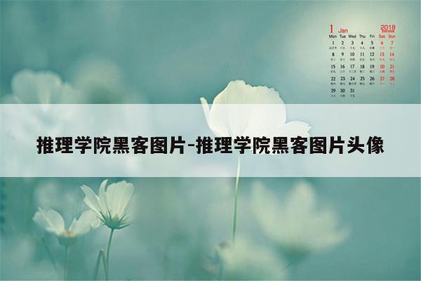 推理学院黑客图片-推理学院黑客图片头像