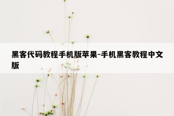 黑客代码教程手机版苹果-手机黑客教程中文版