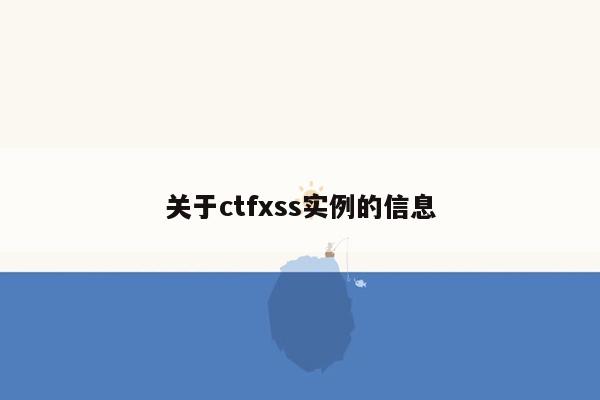 关于ctfxss实例的信息