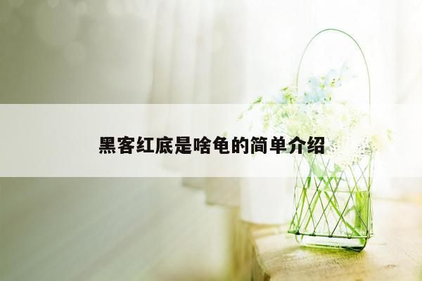 黑客红底是啥龟的简单介绍