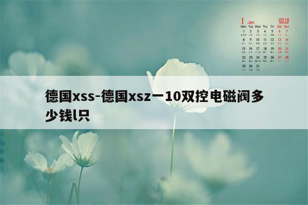 德国xss-德国xsz一10双控电磁阀多少钱l只