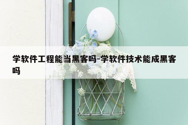 学软件工程能当黑客吗-学软件技术能成黑客吗