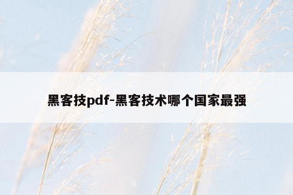 黑客技pdf-黑客技术哪个国家最强