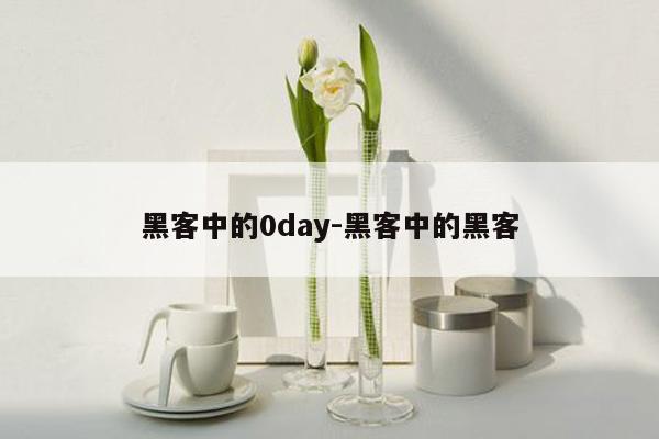 黑客中的0day-黑客中的黑客