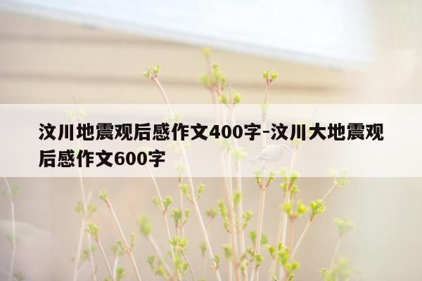 汶川地震观后感作文400字-汶川大地震观后感作文600字