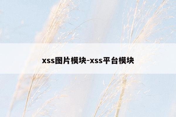 xss图片模块-xss平台模块