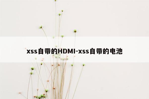 xss自带的HDMI-xss自带的电池