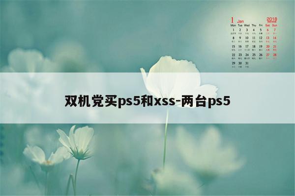 双机党买ps5和xss-两台ps5