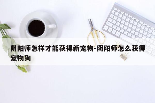 阴阳师怎样才能获得新宠物-阴阳师怎么获得宠物狗