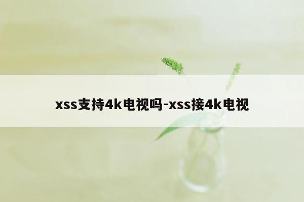 xss支持4k电视吗-xss接4k电视