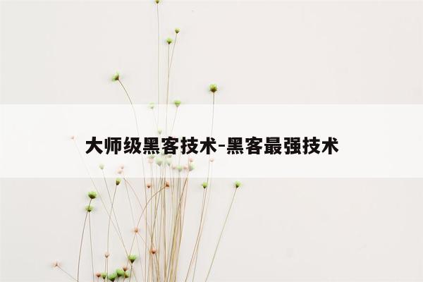 大师级黑客技术-黑客最强技术