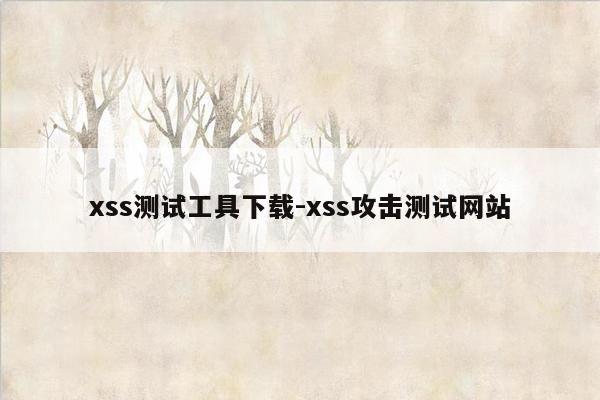 xss测试工具下载-xss攻击测试网站