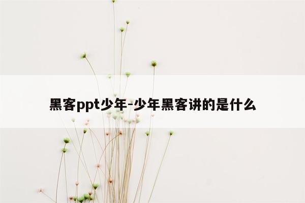 黑客ppt少年-少年黑客讲的是什么