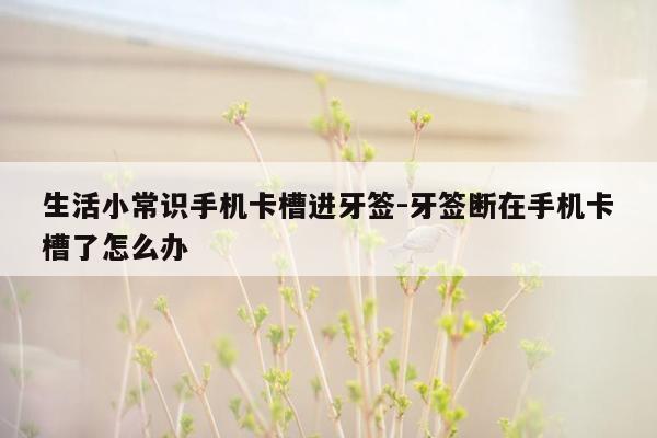 生活小常识手机卡槽进牙签-牙签断在手机卡槽了怎么办