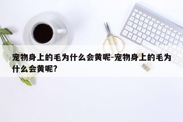 宠物身上的毛为什么会黄呢-宠物身上的毛为什么会黄呢?