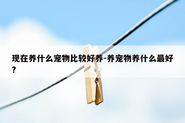 现在养什么宠物比较好养-养宠物养什么最好?