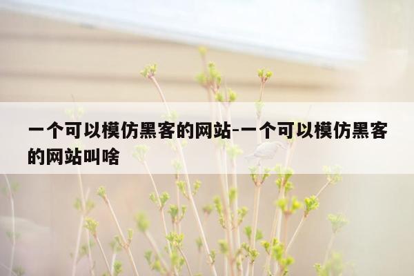 一个可以模仿黑客的网站-一个可以模仿黑客的网站叫啥