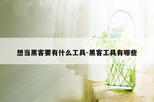 想当黑客要有什么工具-黑客工具有哪些