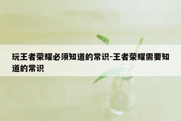 玩王者荣耀必须知道的常识-王者荣耀需要知道的常识