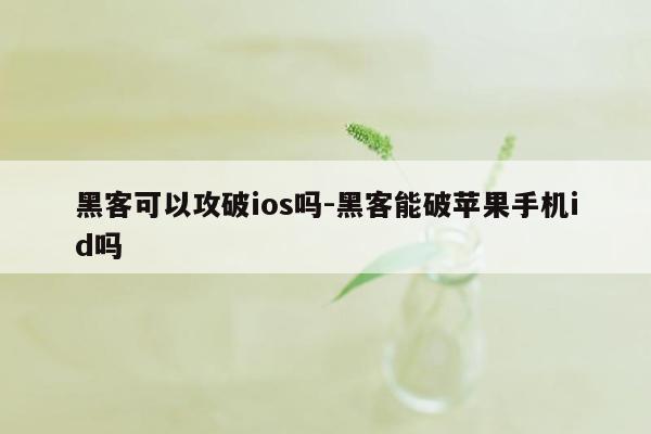 黑客可以攻破ios吗-黑客能破苹果手机id吗