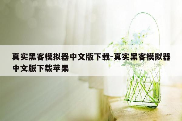 真实黑客模拟器中文版下载-真实黑客模拟器中文版下载苹果