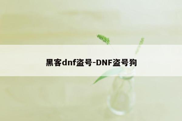 黑客dnf盗号-DNF盗号狗