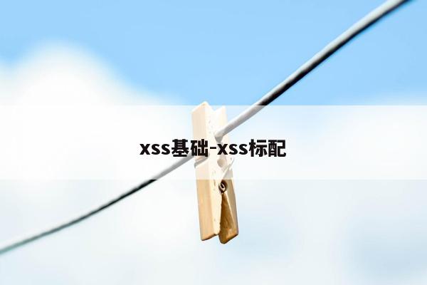 xss基础-xss标配