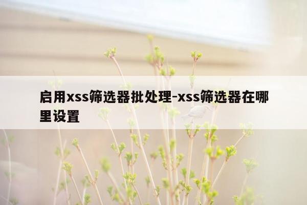 启用xss筛选器批处理-xss筛选器在哪里设置