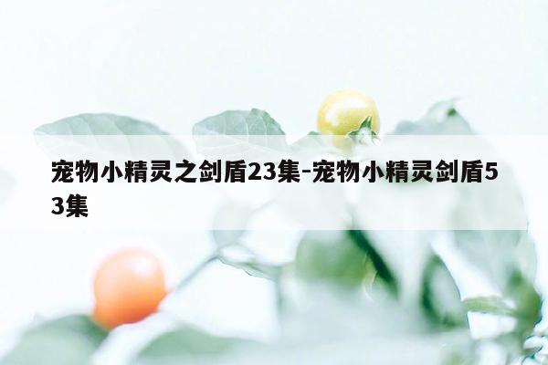 宠物小精灵之剑盾23集-宠物小精灵剑盾53集