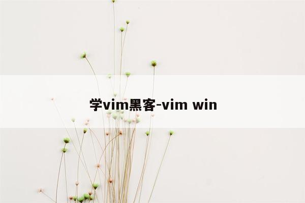 学vim黑客-vim win