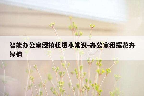 智能办公室绿植租赁小常识-办公室租摆花卉绿植