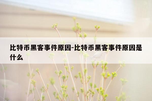 比特币黑客事件原因-比特币黑客事件原因是什么