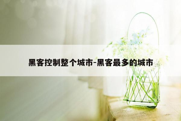 黑客控制整个城市-黑客最多的城市