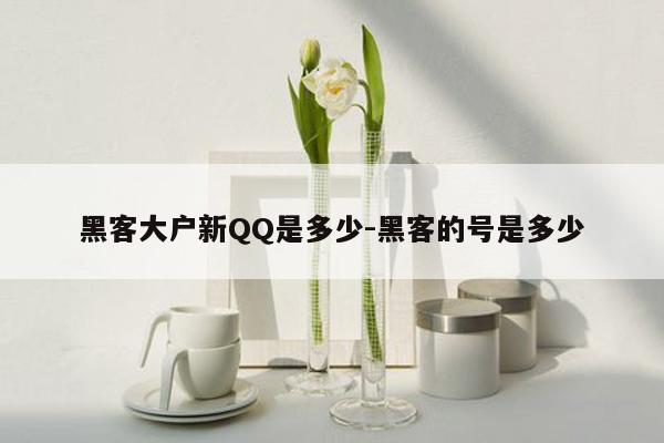 黑客大户新QQ是多少-黑客的号是多少