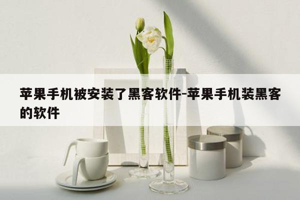 苹果手机被安装了黑客软件-苹果手机装黑客的软件