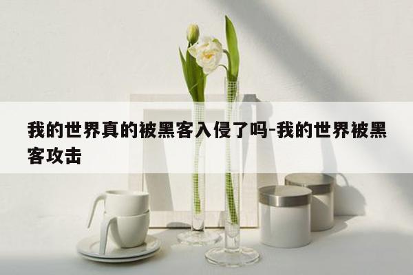 我的世界真的被黑客入侵了吗-我的世界被黑客攻击