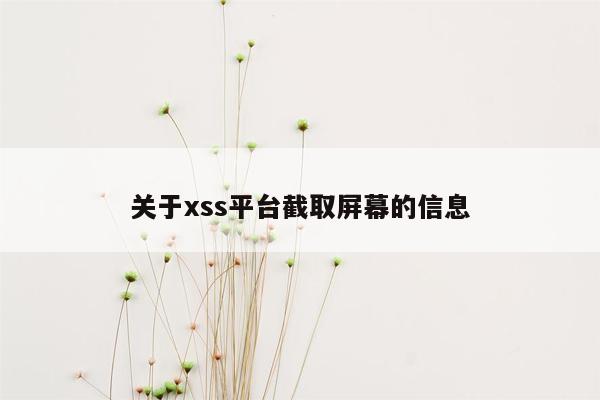 关于xss平台截取屏幕的信息