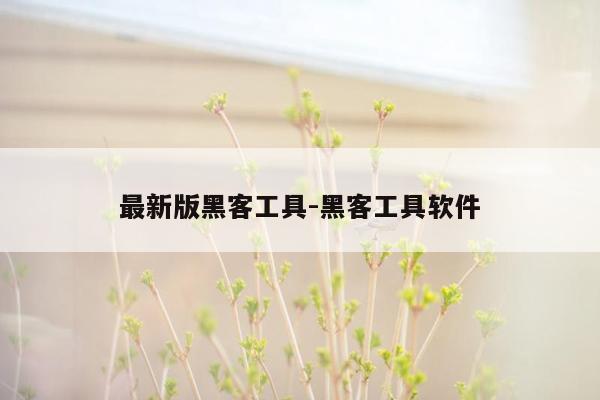 最新版黑客工具-黑客工具软件